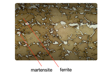 DP steel microstructgure